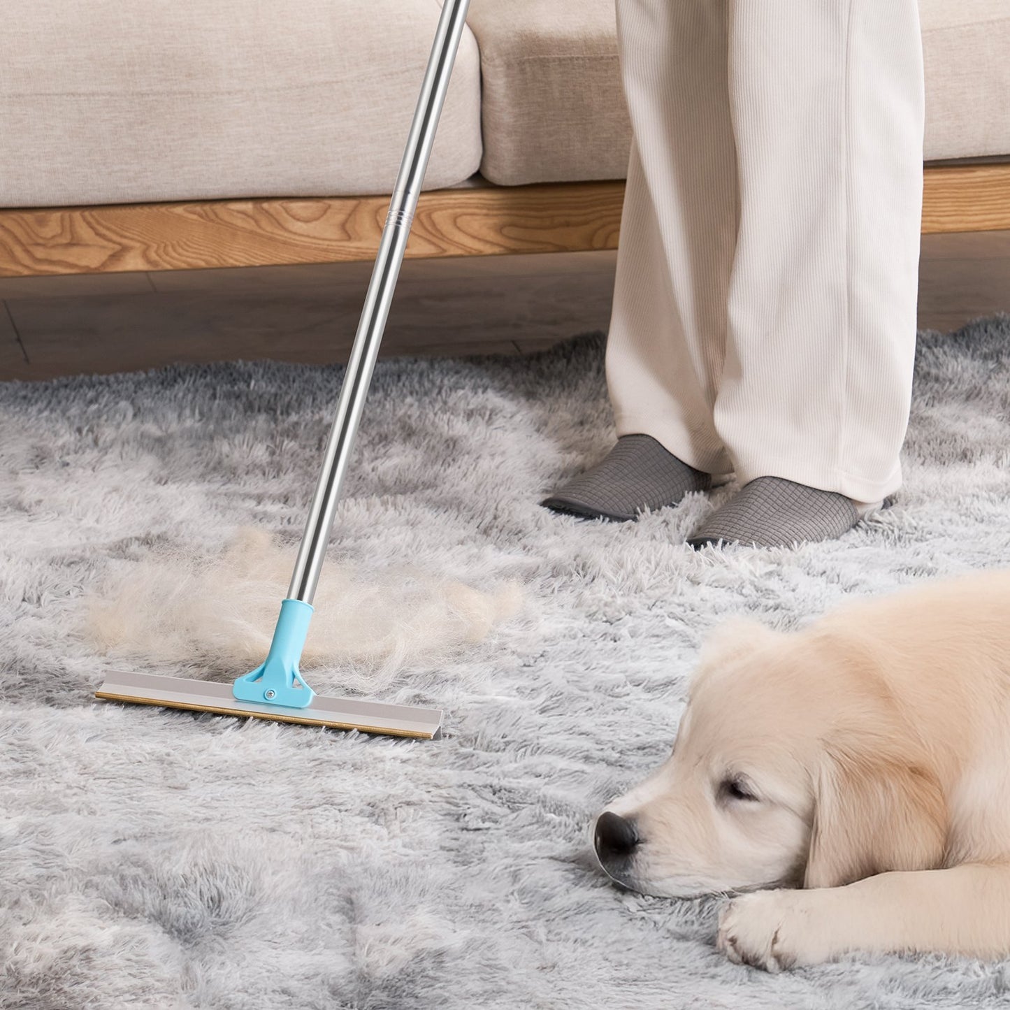 Pet Hair Removal Rake
